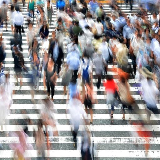 BSc (Hons)  Management Economics