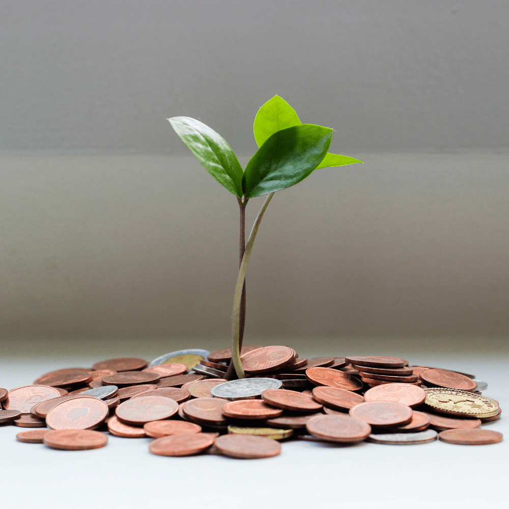 Photo of green plant emerging from a pile of copper coins