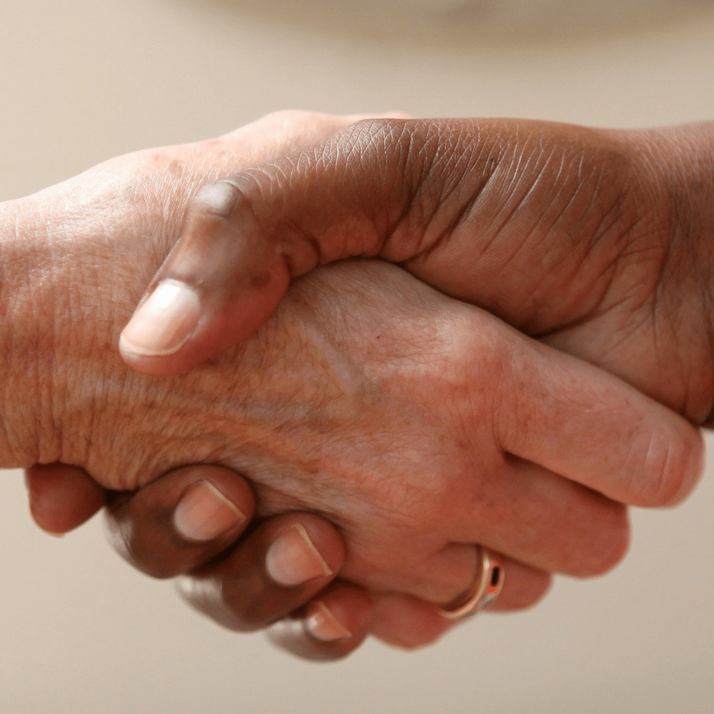 Two hands in a handshake making an agreement