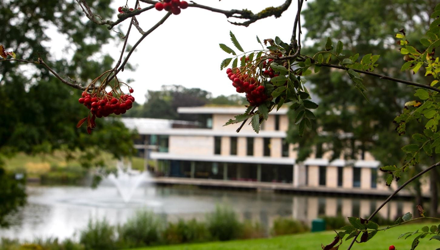 Blossom in the picturesque park 