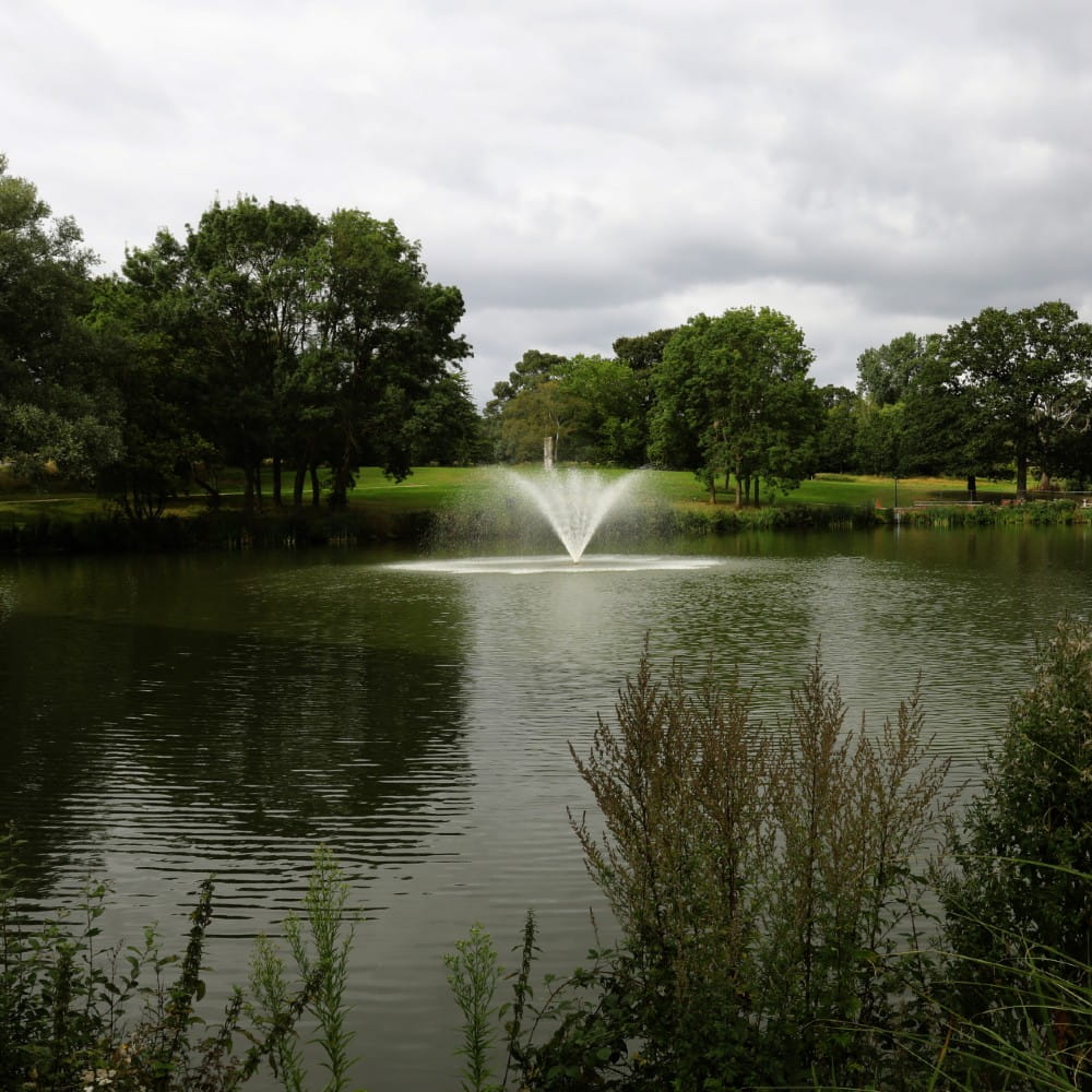 The fountain in the centre of the lake in Wivenhoe Park