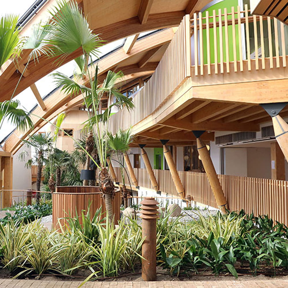 The foyer of Essex Business School with wooden decking, foliage and trees.