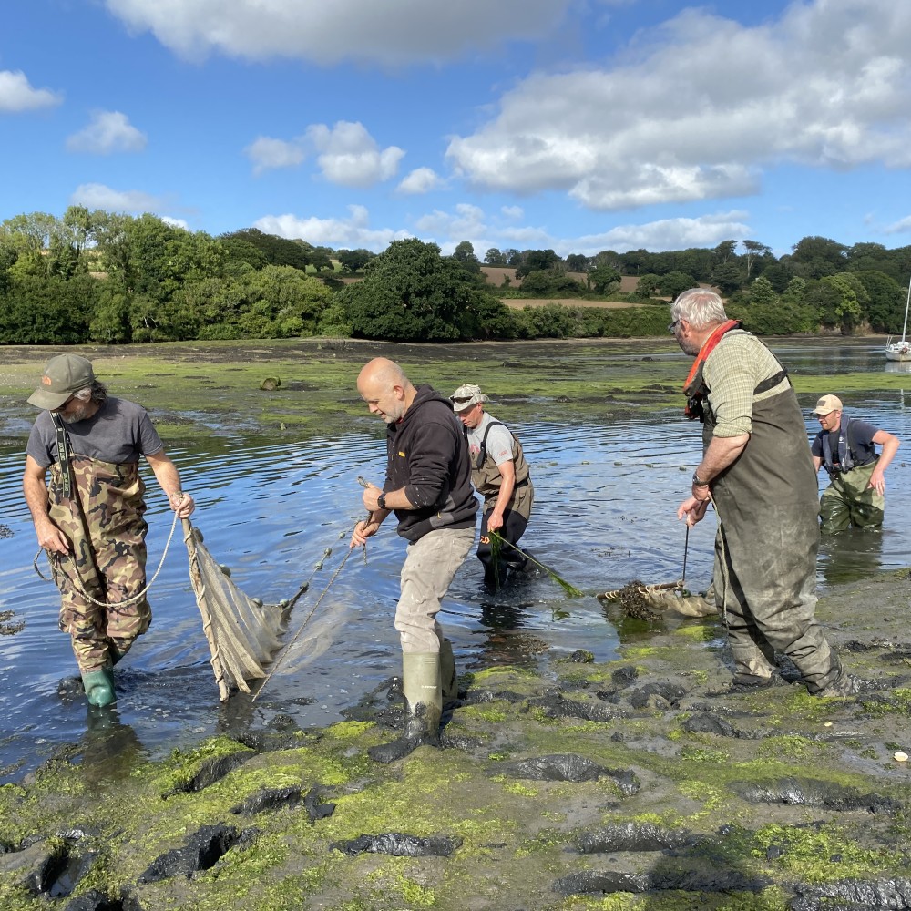 A group of anglers in waders and boots, walking out of a river dragging nets behind them.