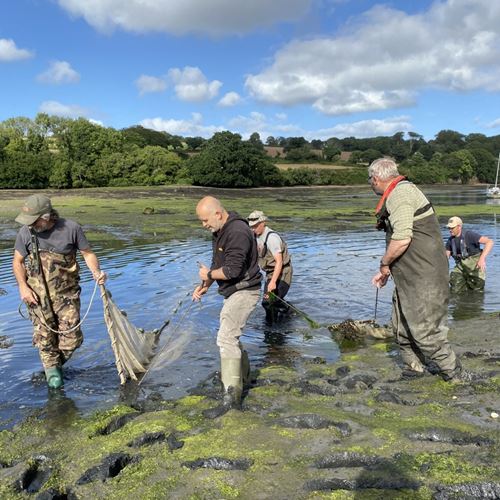  Cornwall Bass Investigations Group  