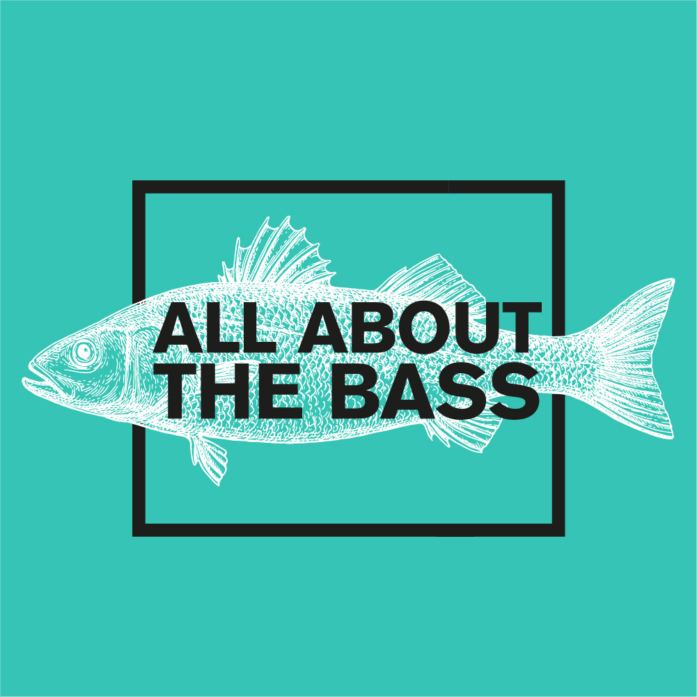 A drawing of a fish in white on a teal background, with a black square outline and the words "All about the bass" in black text in the centre.