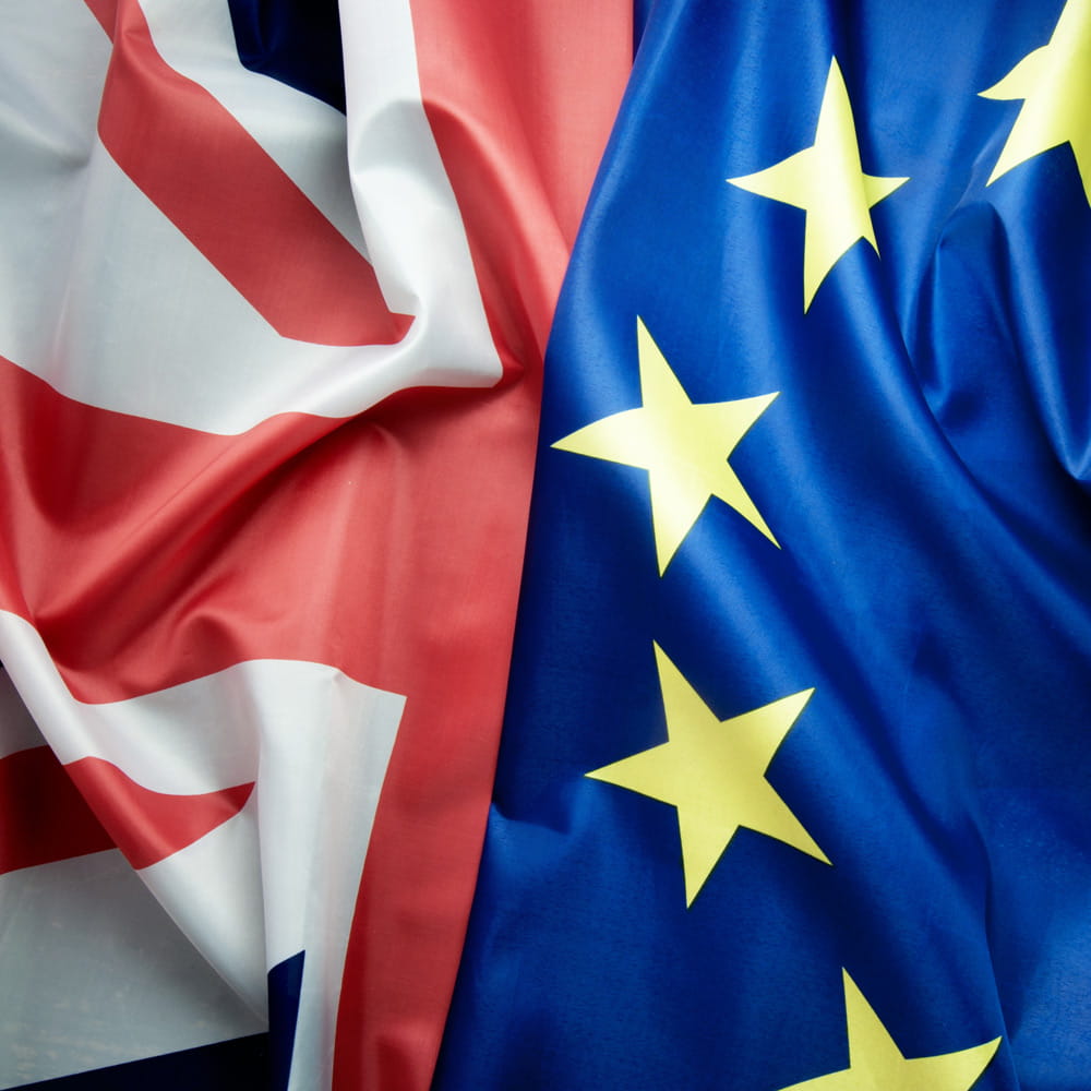 Brexit Why did Britain vote to leave the European Union?