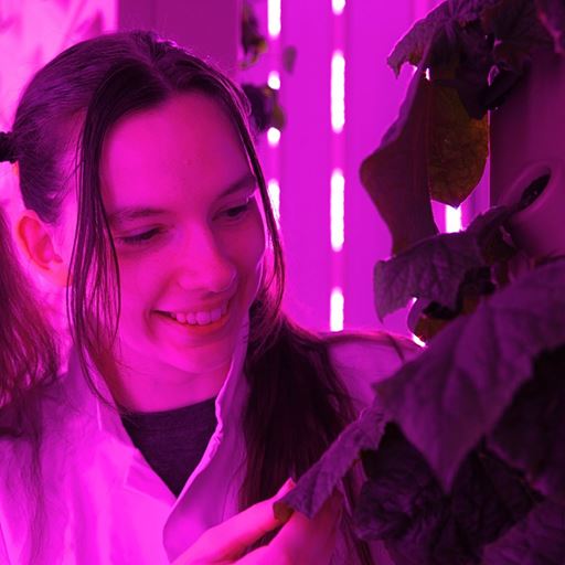 Global sustainability student Kaitlin Campbell, 21, examines a leaf in the vertical farm.