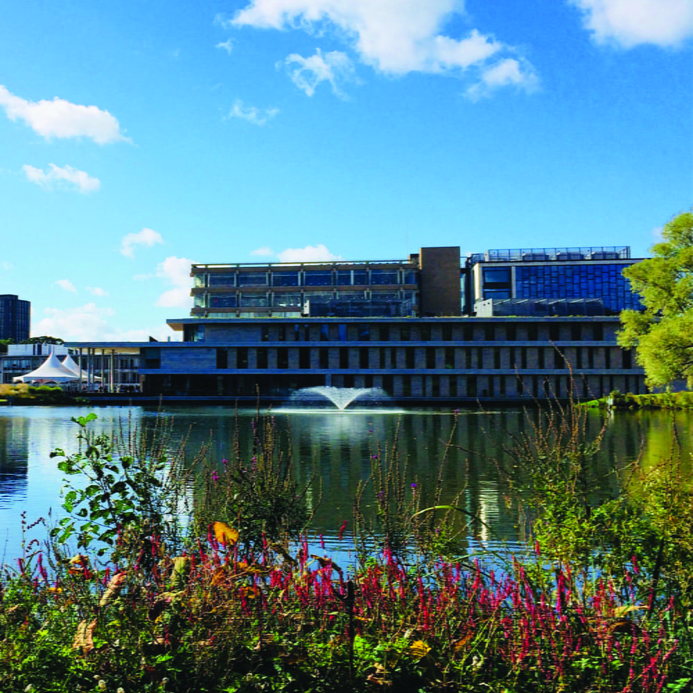 Fountains on the lake 