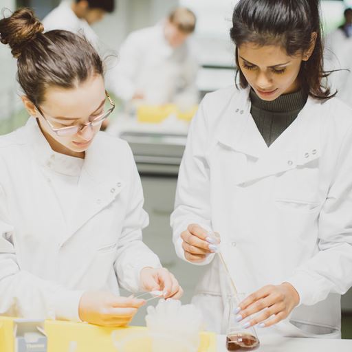 Two students in a lab doing a practical