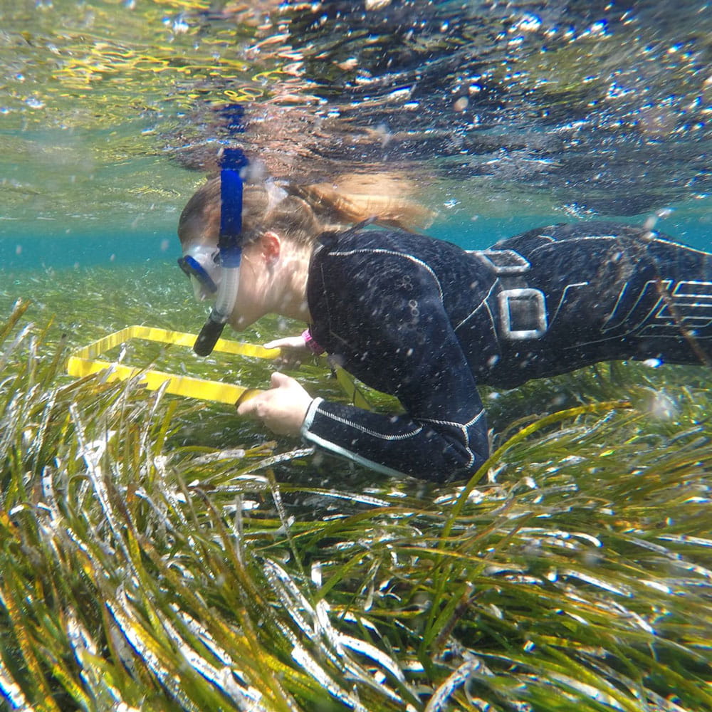 Marine biology