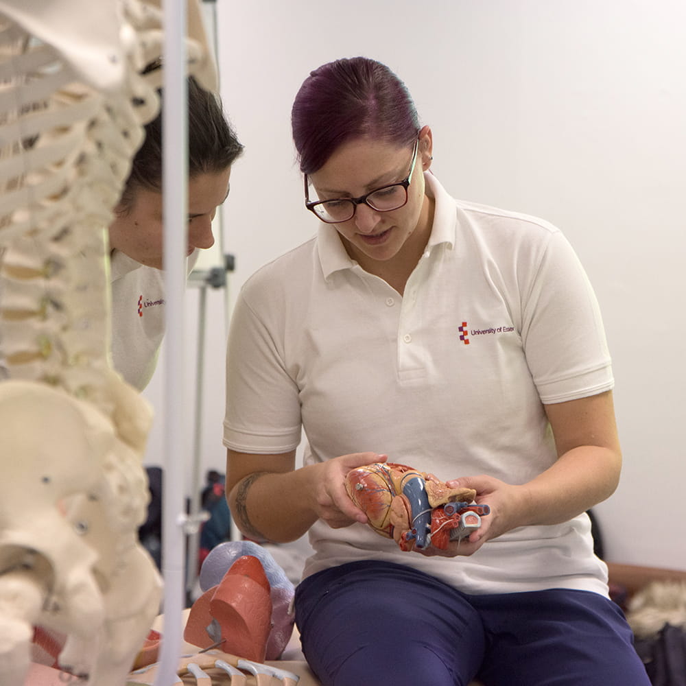 This image is of a female student working with another student in a physiotherapy lab. They are studying an anatomical model.