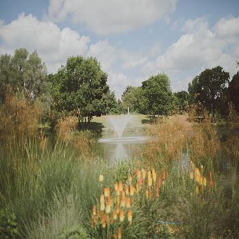 <img src="grounds.png" alt="Photo overlooking the lake at University of Essex Campus">