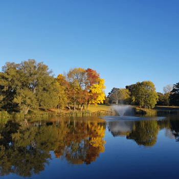 A view of autumn trees behind the lake and fountain 