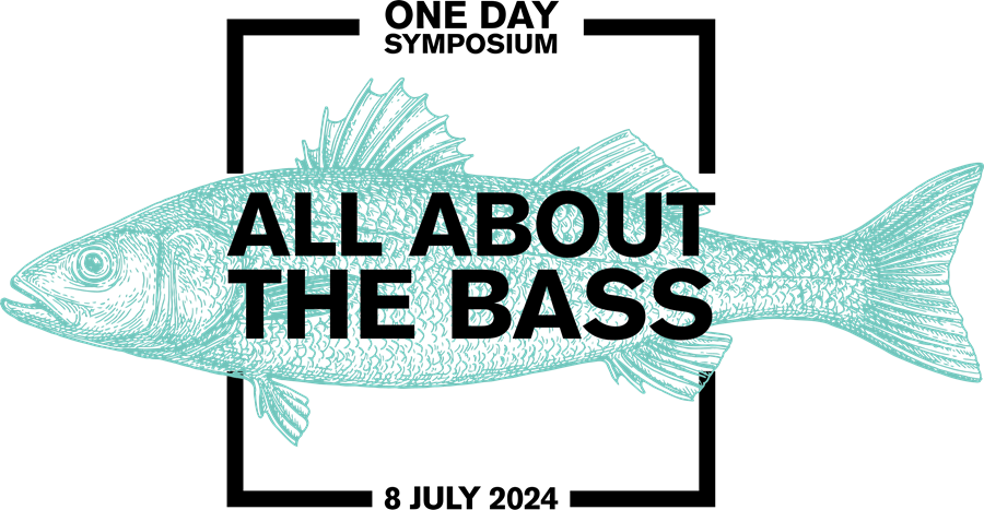 ALL ABOUT THE BASS