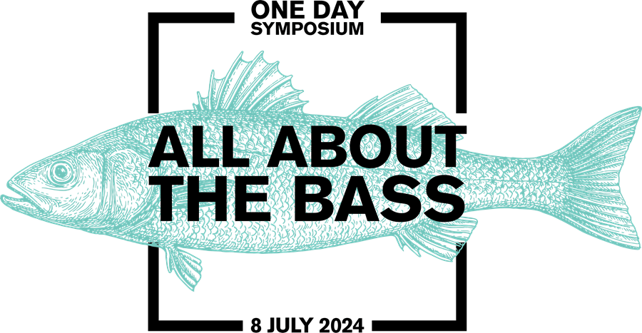 ALL ABOUT THE BASS