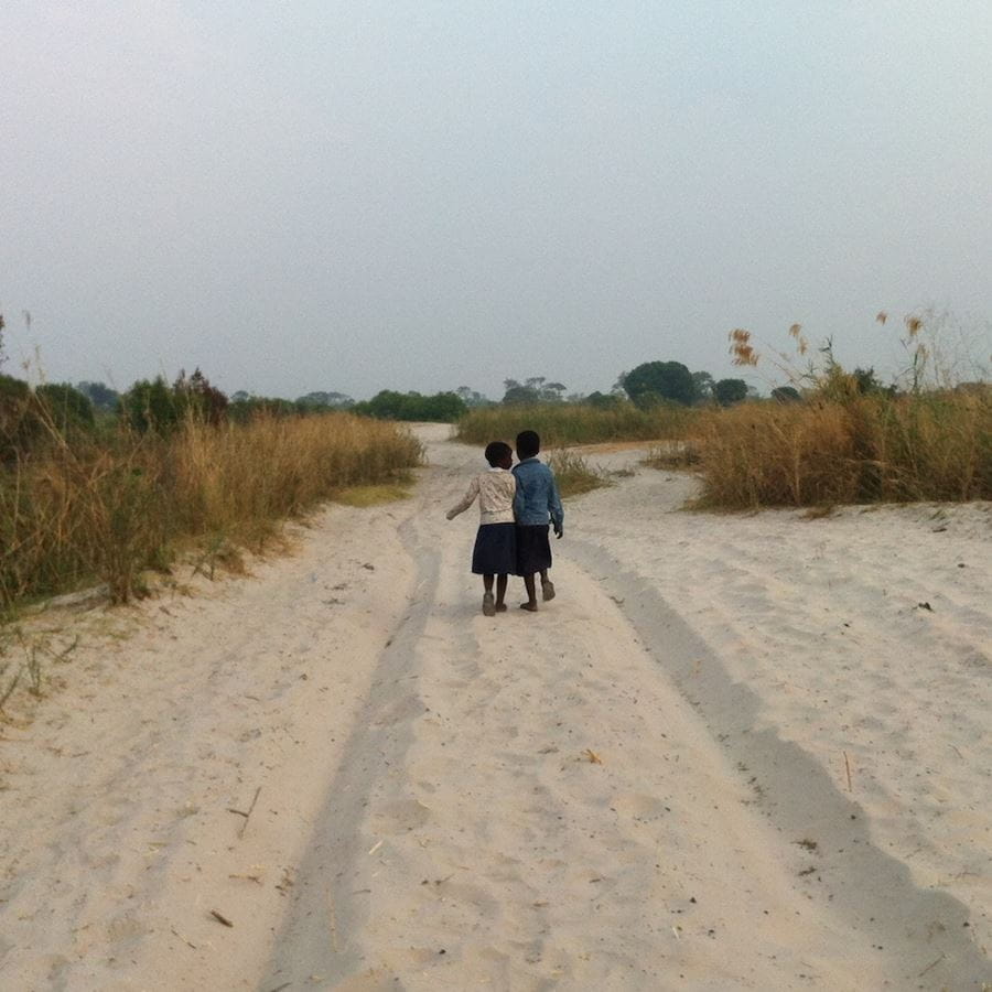 Linguistic Diversity: What does sub-saharan Africa have to contribute?