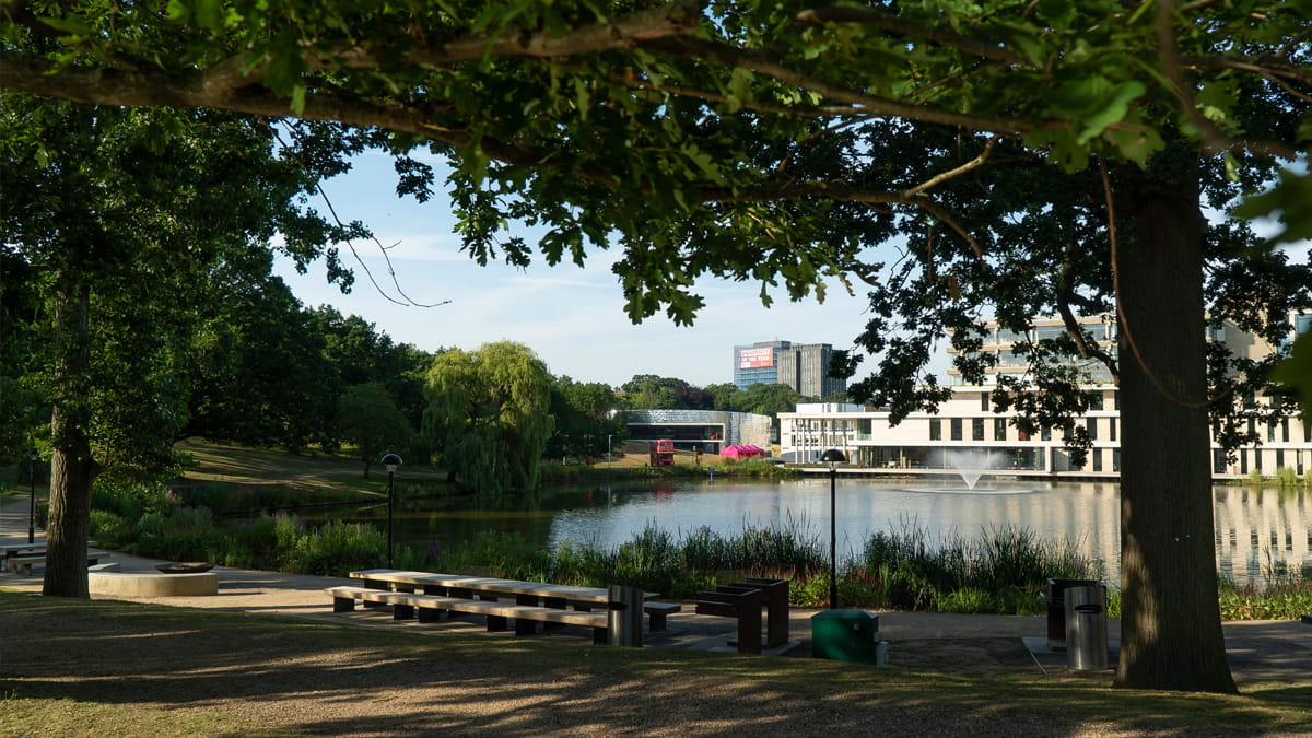 Lakeside view at Wivenhoe Park