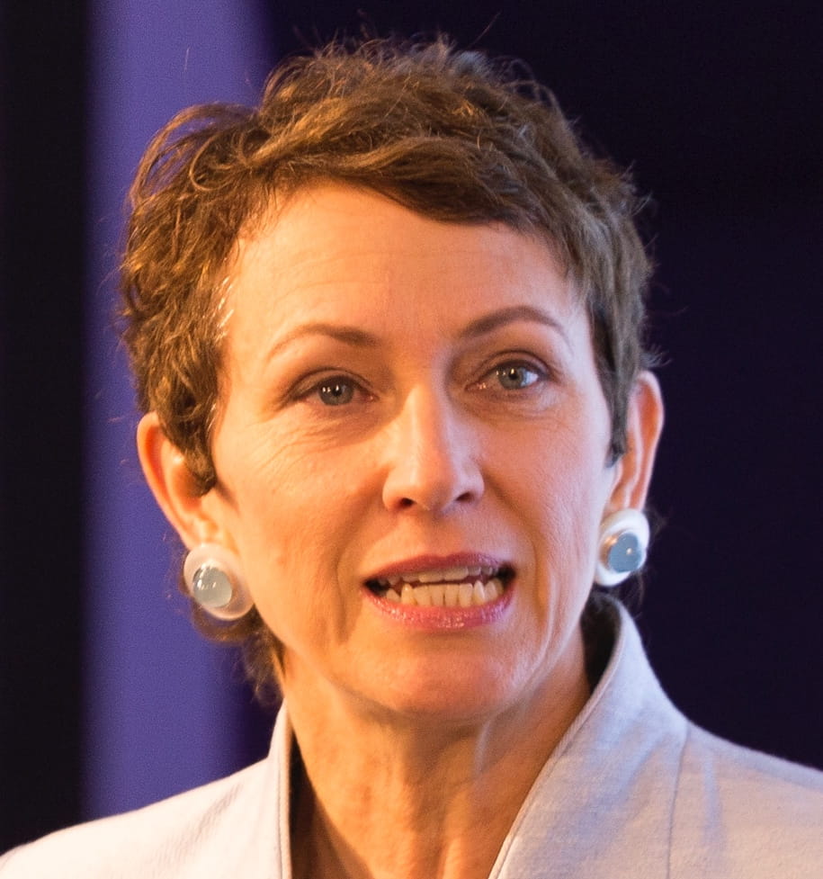 Corporate Governance in Changing Institutional Environments 