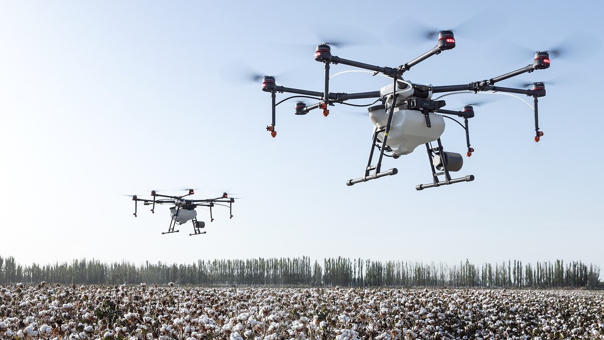 Drone Swarms for Precision Agriculture