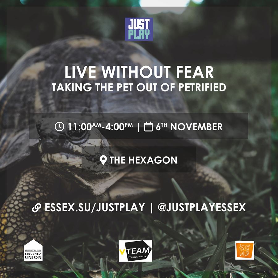 Live Without Fear: Taking the Pet out of Petrified