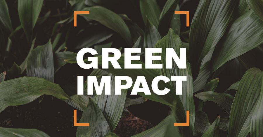 Green Impact Launch: Colchester