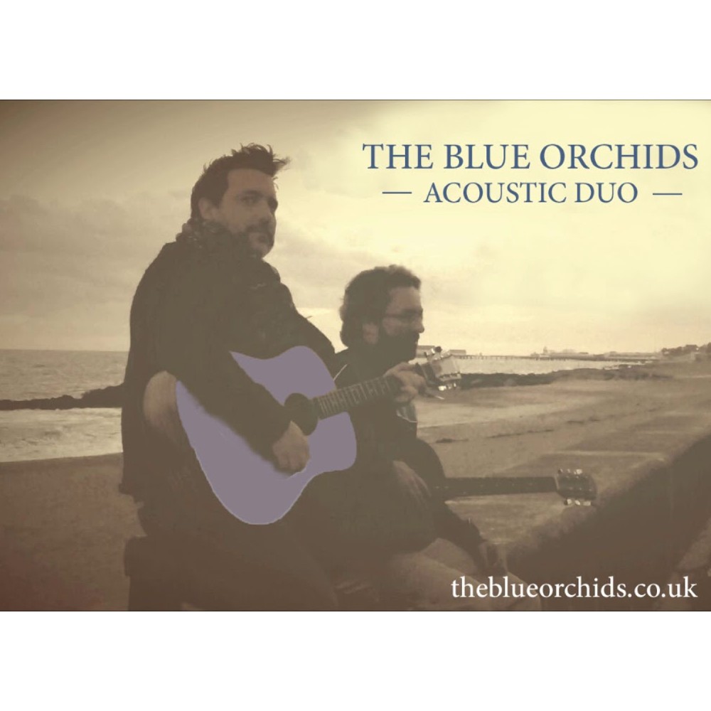 Music on the Squares - The Blue Orchids