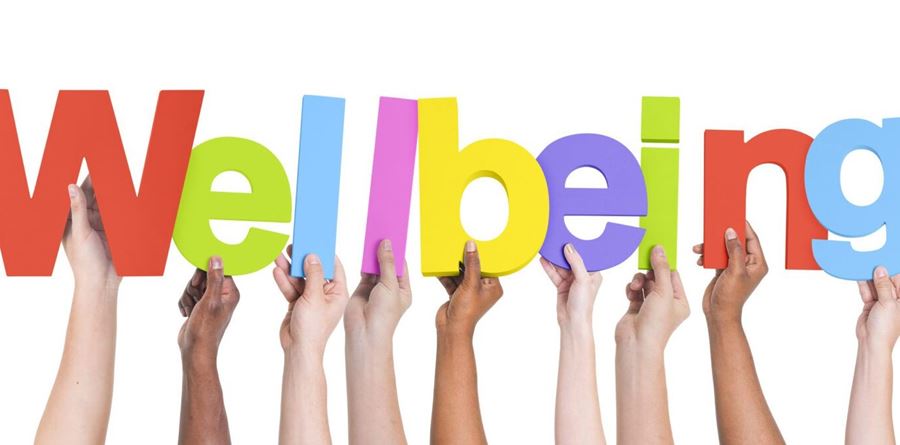 Student Well Being and Inclusivity Service - SWIS