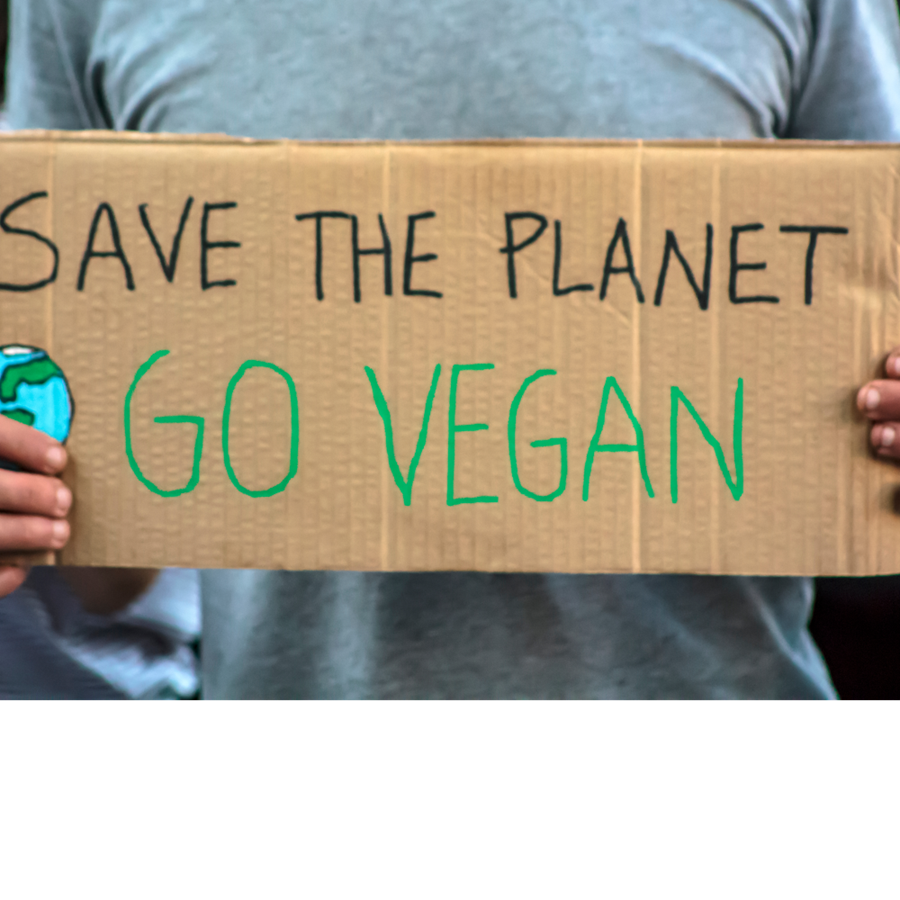 Postponed: THINK Seminar: Must we all go vegan to save the planet? 