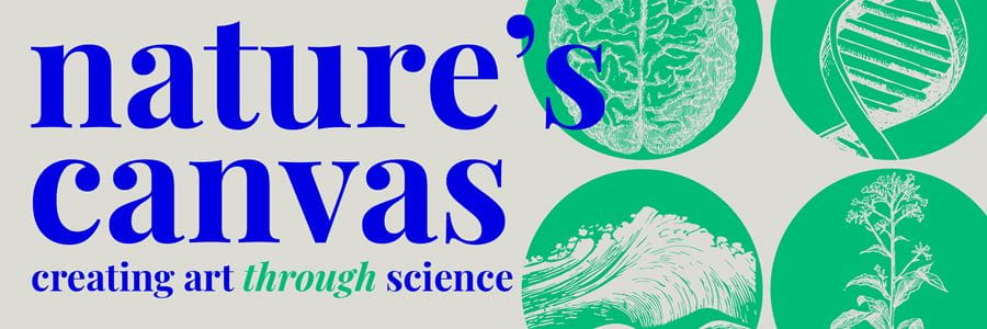 Nature’s Canvas: Creating Art through Science