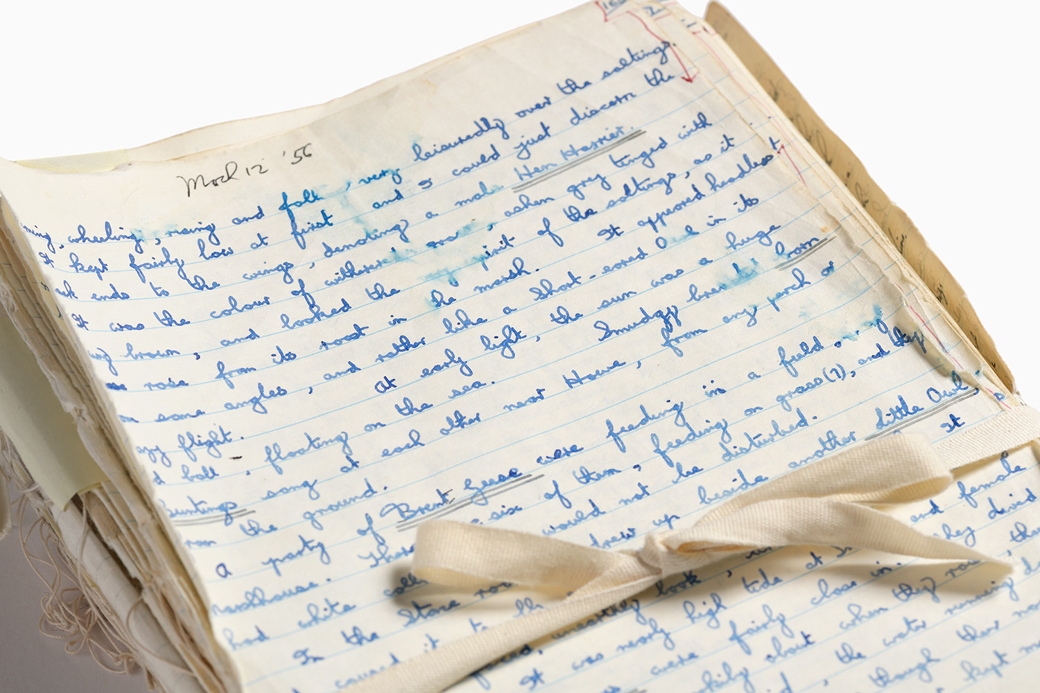 Smudged draft manuscript of The Peregrine by JA Baker