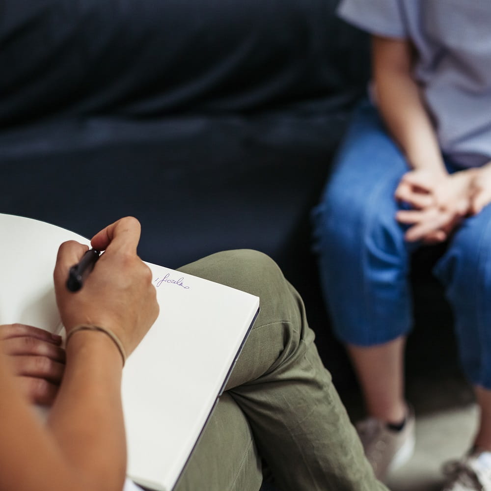 Learning from psychotherapy case studies