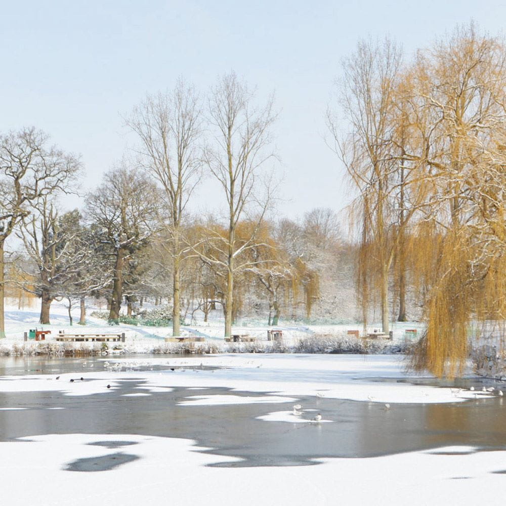 University of Essex lakes in the snow
