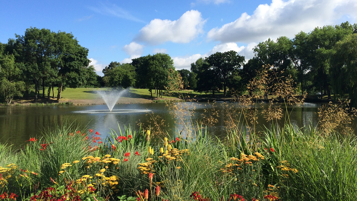 Wivenhoe Park in the summer)