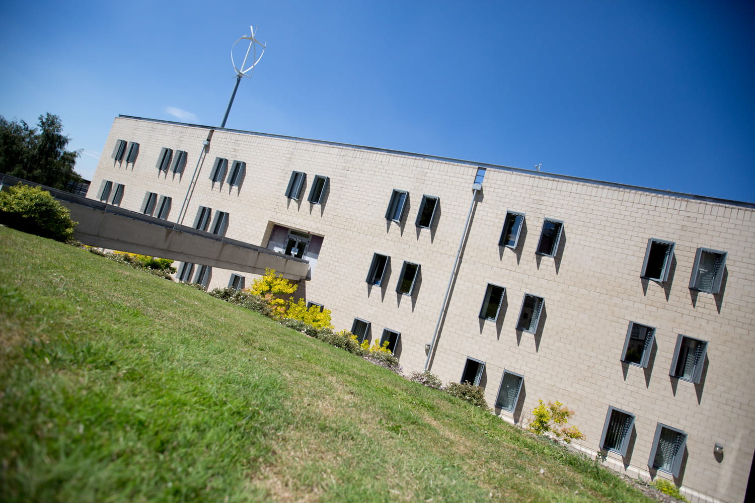 Image of the School of Health and Social Care building in the sunshine.