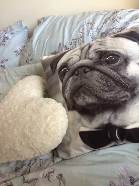 Cushion with a photo of a pug on