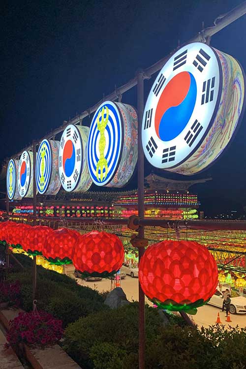 A letter to future Essex Abroad students: my study abroad experience in South Korea 