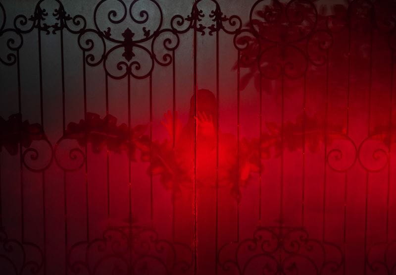 Farah Al Qasimi, Medeyyah Through The Gate, 2023