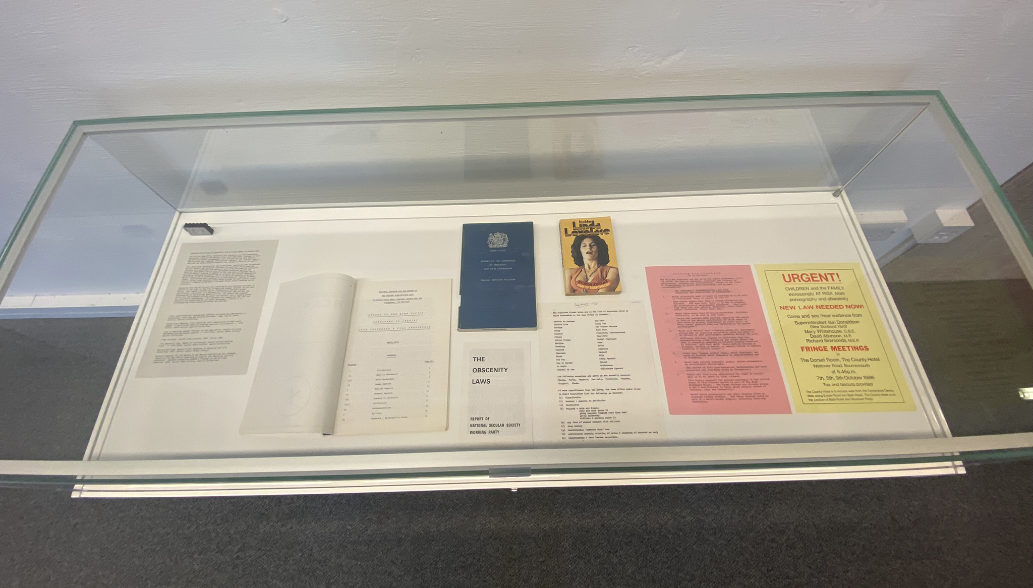 Dispatches from the Culture War exhibition on the Floor 1 landing of the Albert Sloman Library, curated by BA Curating final year student, Tilly Hawkins, with excerpts from the NVALA archive, including Deep Throat by Linda Lovelace.