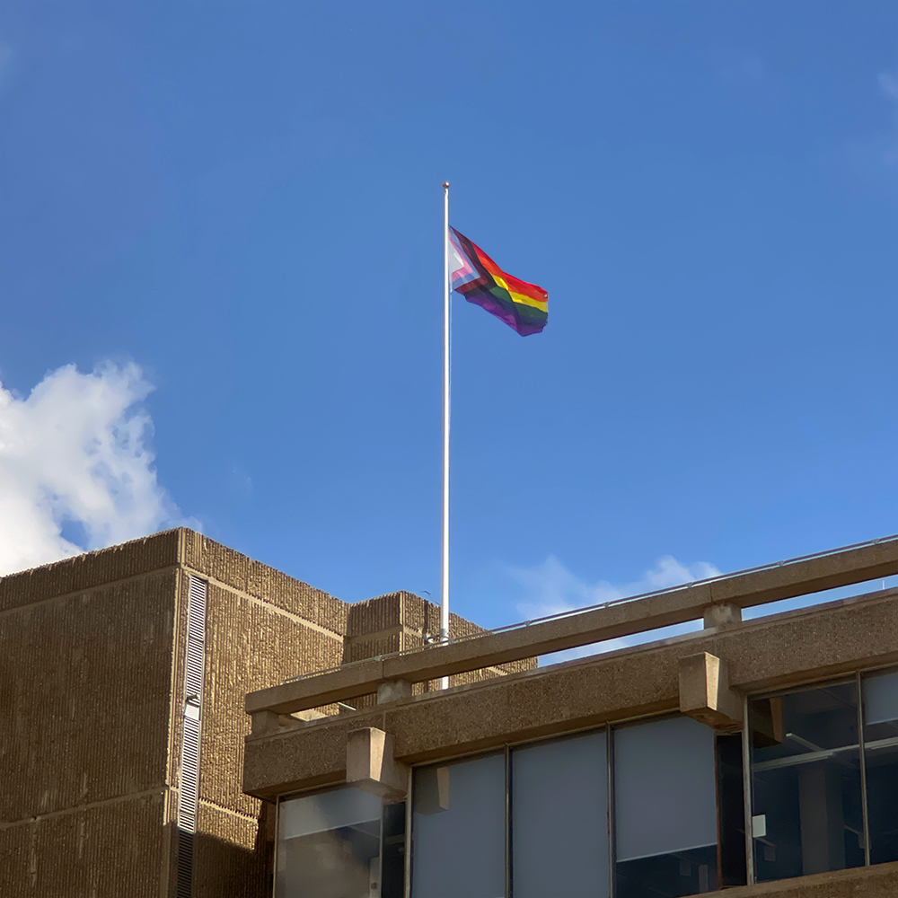 The Progress Flag flying on top of our Albert Sloman Library