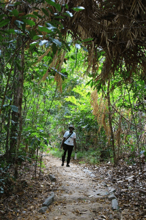 A student standing in a rainforest in Australia
