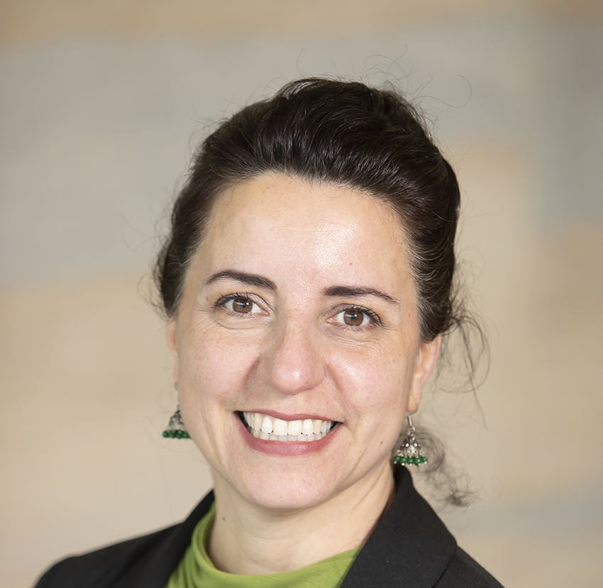 Professor Mariachiara Di Cesare