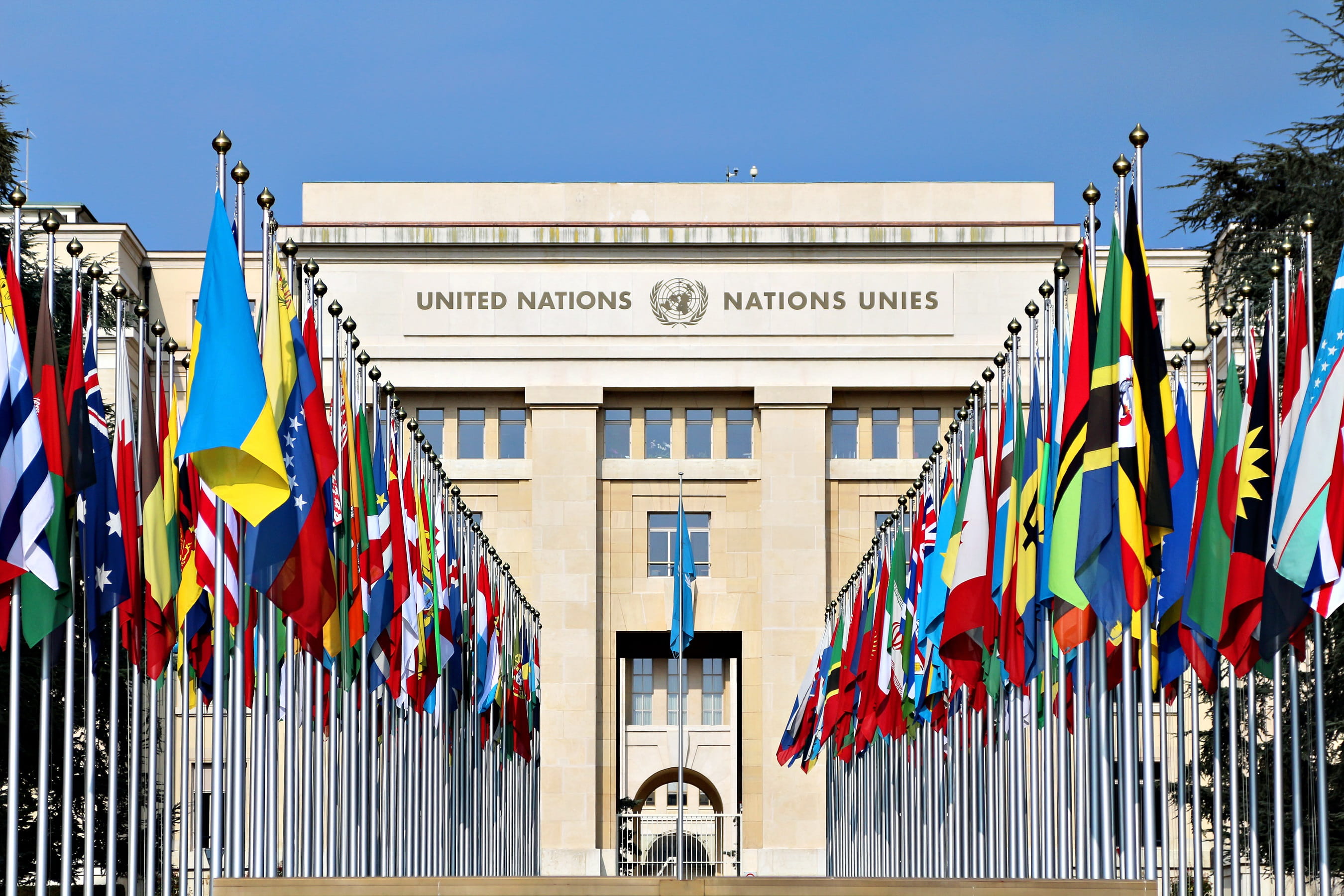 Flags of the United Nations
