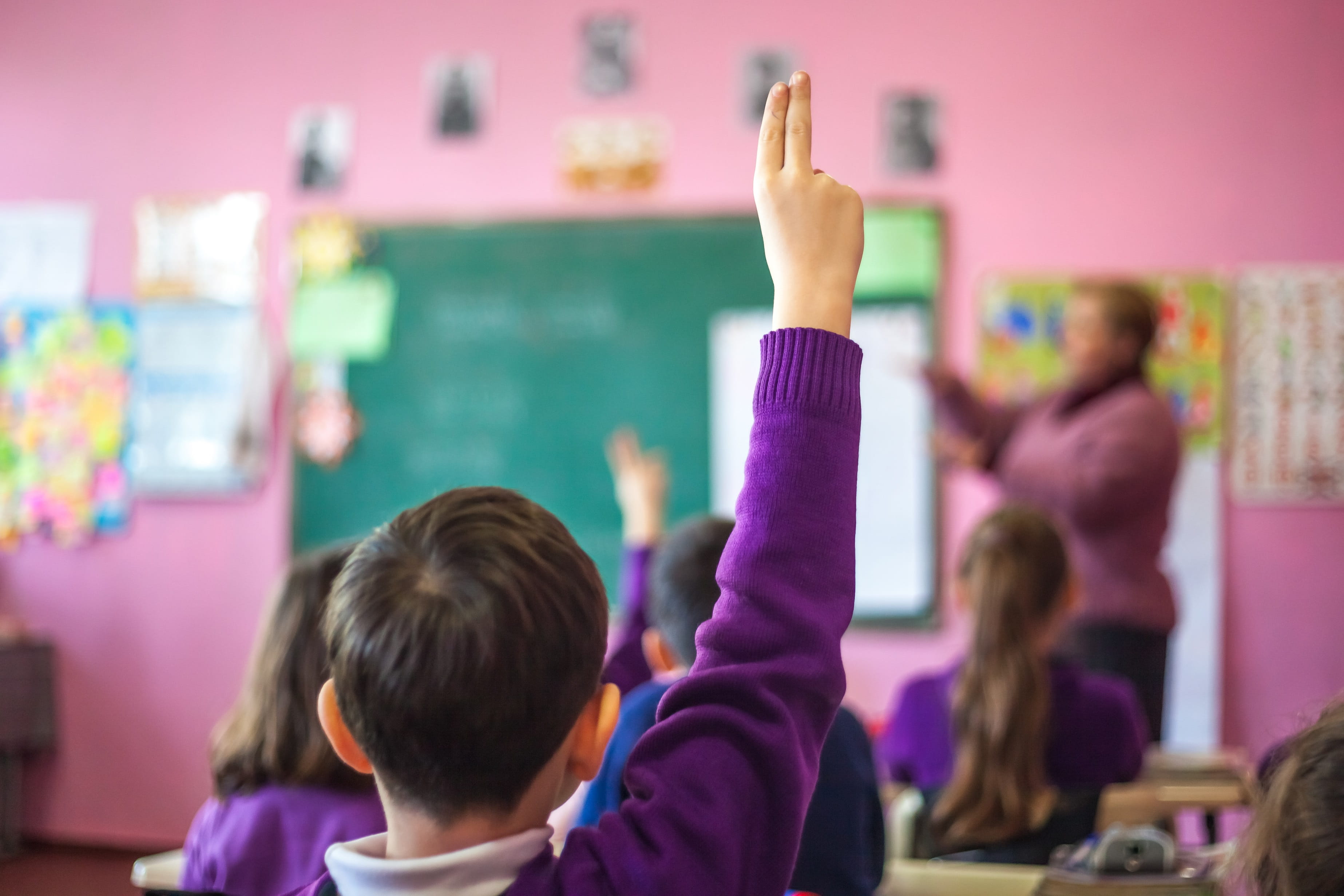 Young boy in class with hand up.
