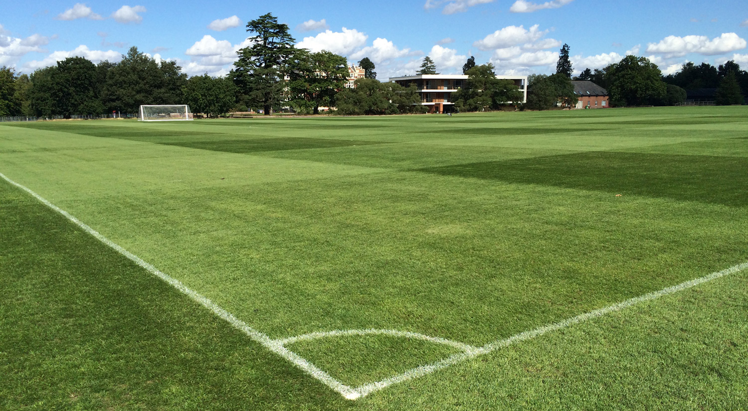 Sports pitch at Wivenhoe Park