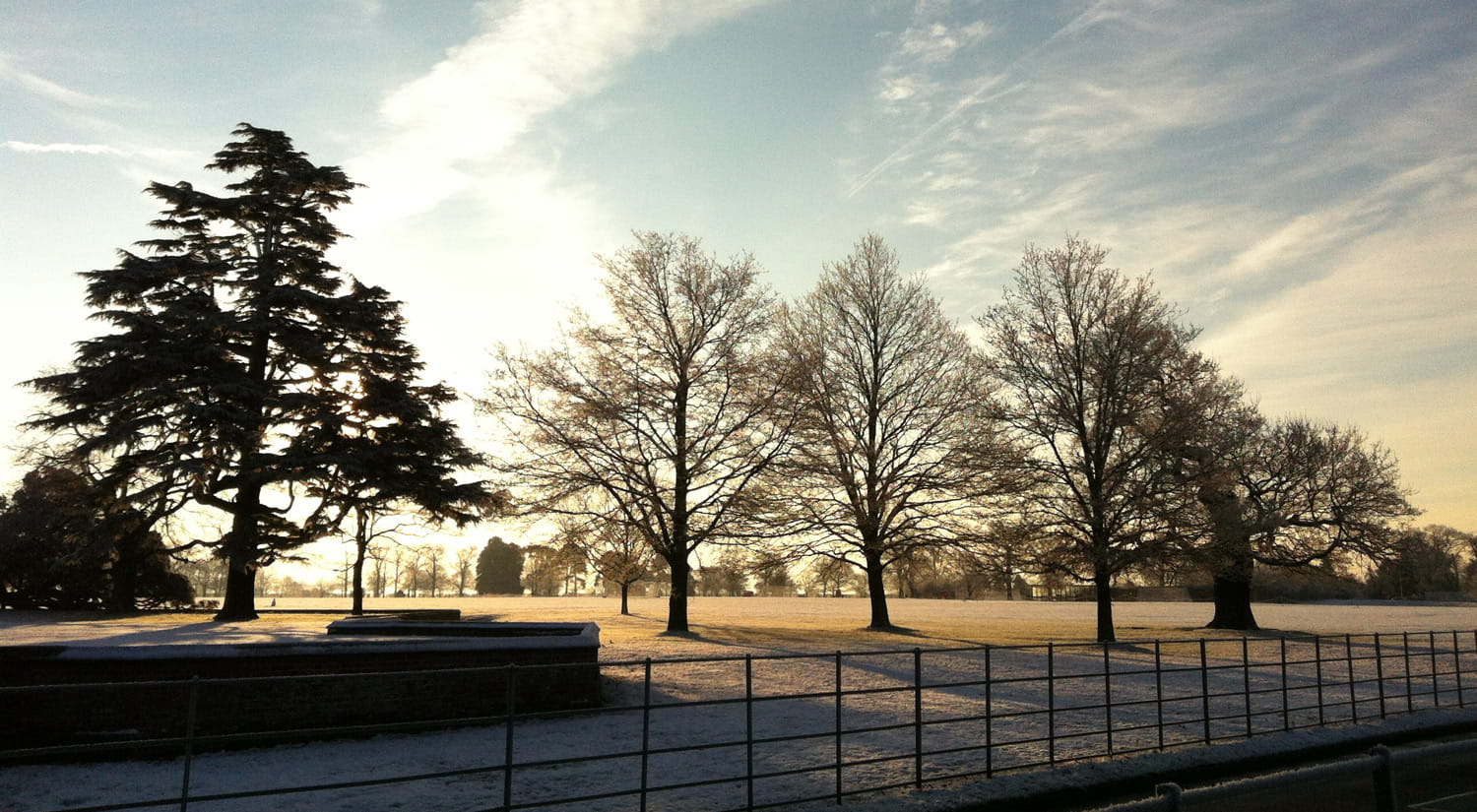 Winter morning at Wivenhoe Park