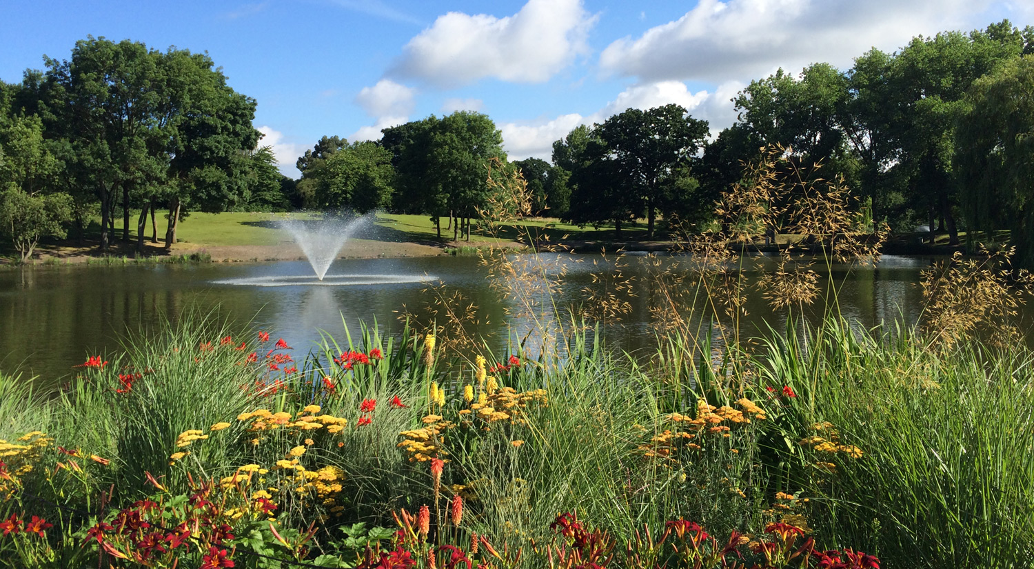 The lake at Wivenhoe Park