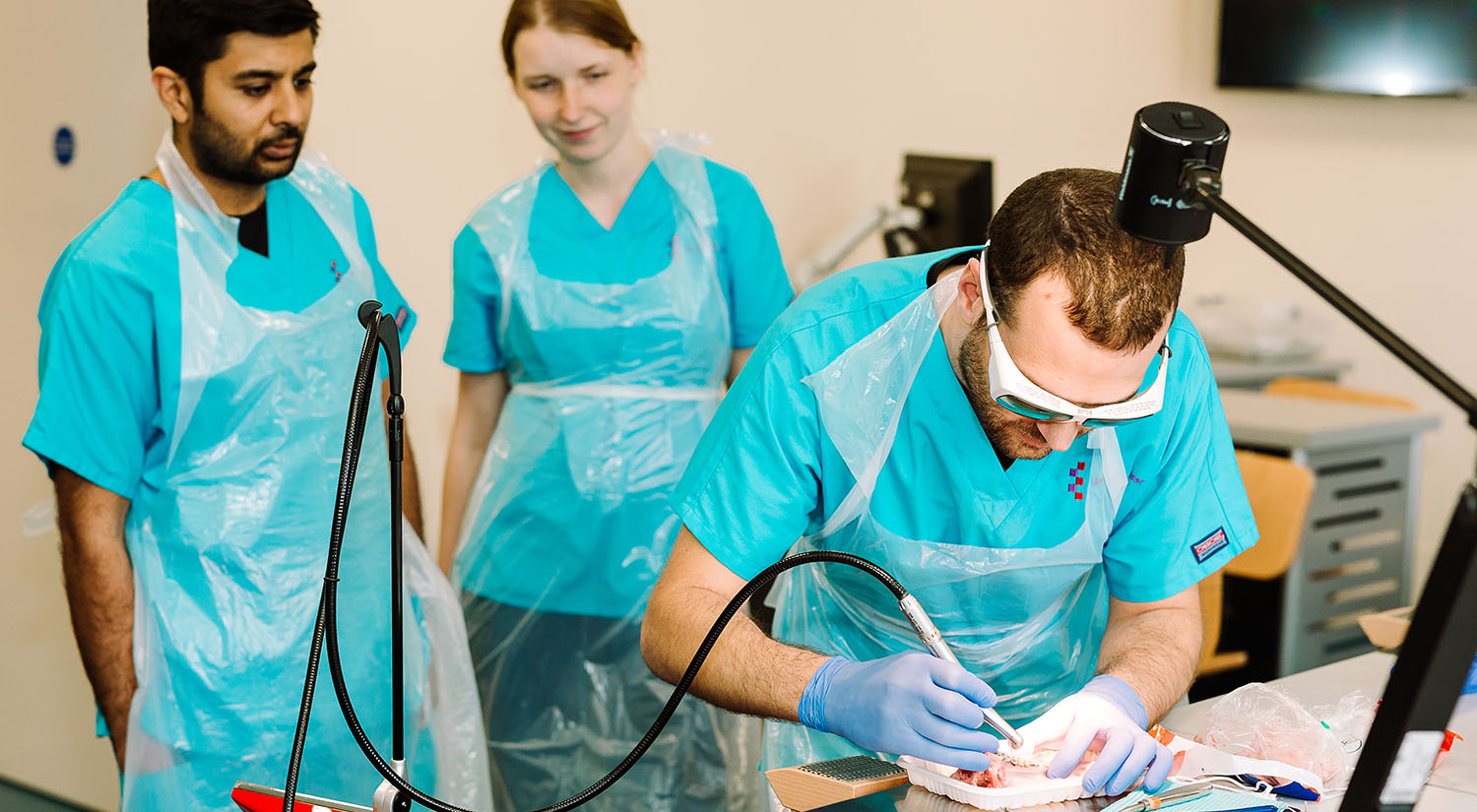Postgraduate students practising using WaterLase Laser Dental Treatment 