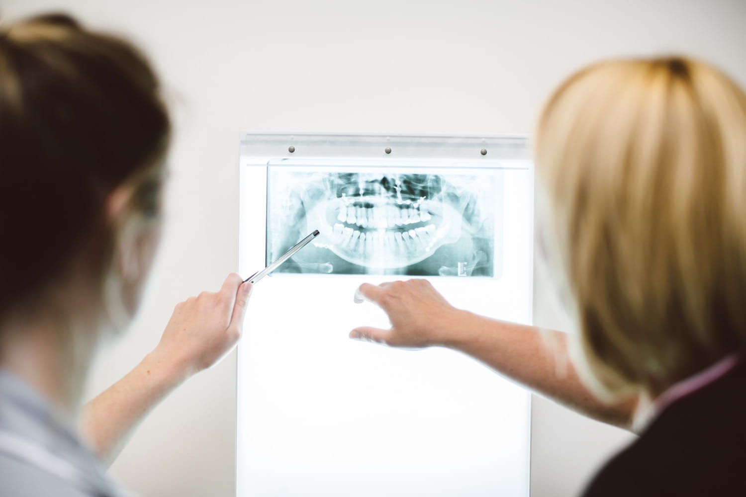 Two students examining an x-ray of a mouth.