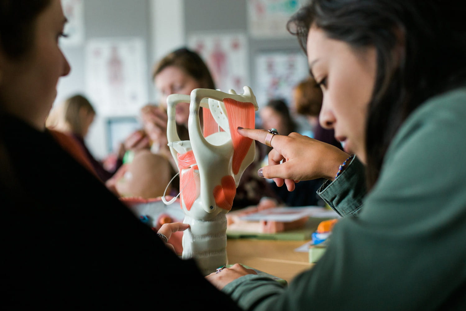 Students looking at Speech and Language Therapy models