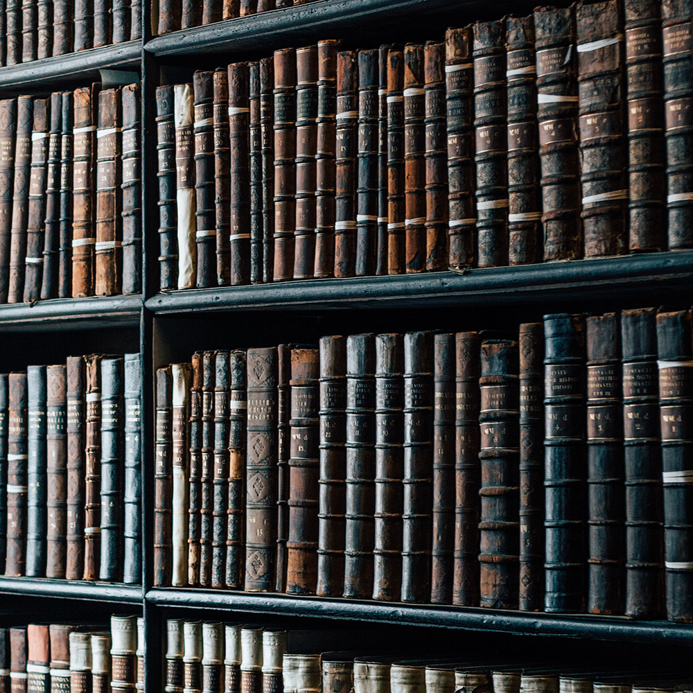 Essex Law Research Team